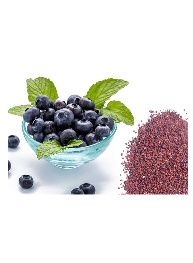 200 PCS Blueberry Seeds For Home Garden Planting - Image 1